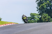 PJ-Motorsport-Photography-2020;anglesey;brands-hatch;cadwell-park;croft;donington-park;enduro-digital-images;event-digital-images;eventdigitalimages;mallory;no-limits;oulton-park;peter-wileman-photography;racing-digital-images;silverstone;snetterton;trackday-digital-images;trackday-photos;vmcc-banbury-run;welsh-2-day-enduro